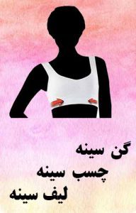 گن سینه