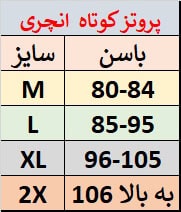 پروتزکوتاه آنچری 2280