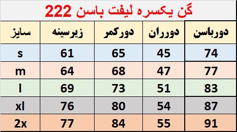 گن یکسره پادار لیفت باسن Triumph